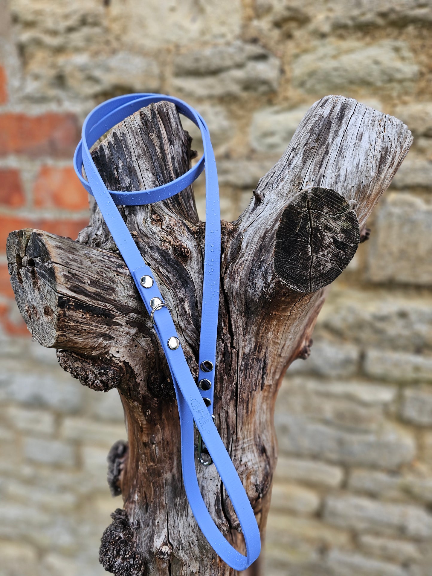 Periwinkle - Waterproof BioThane© Dinky Dog Lead