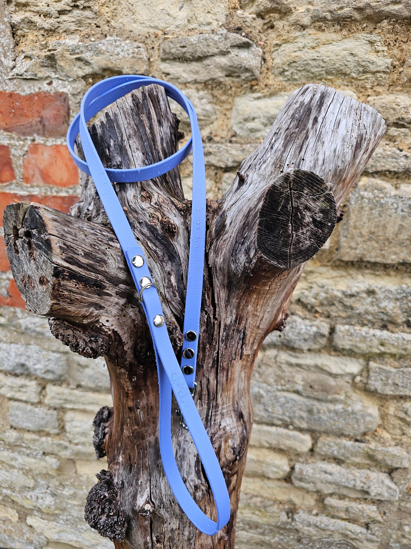Periwinkle - Waterproof BioThane© Dinky Dog Lead