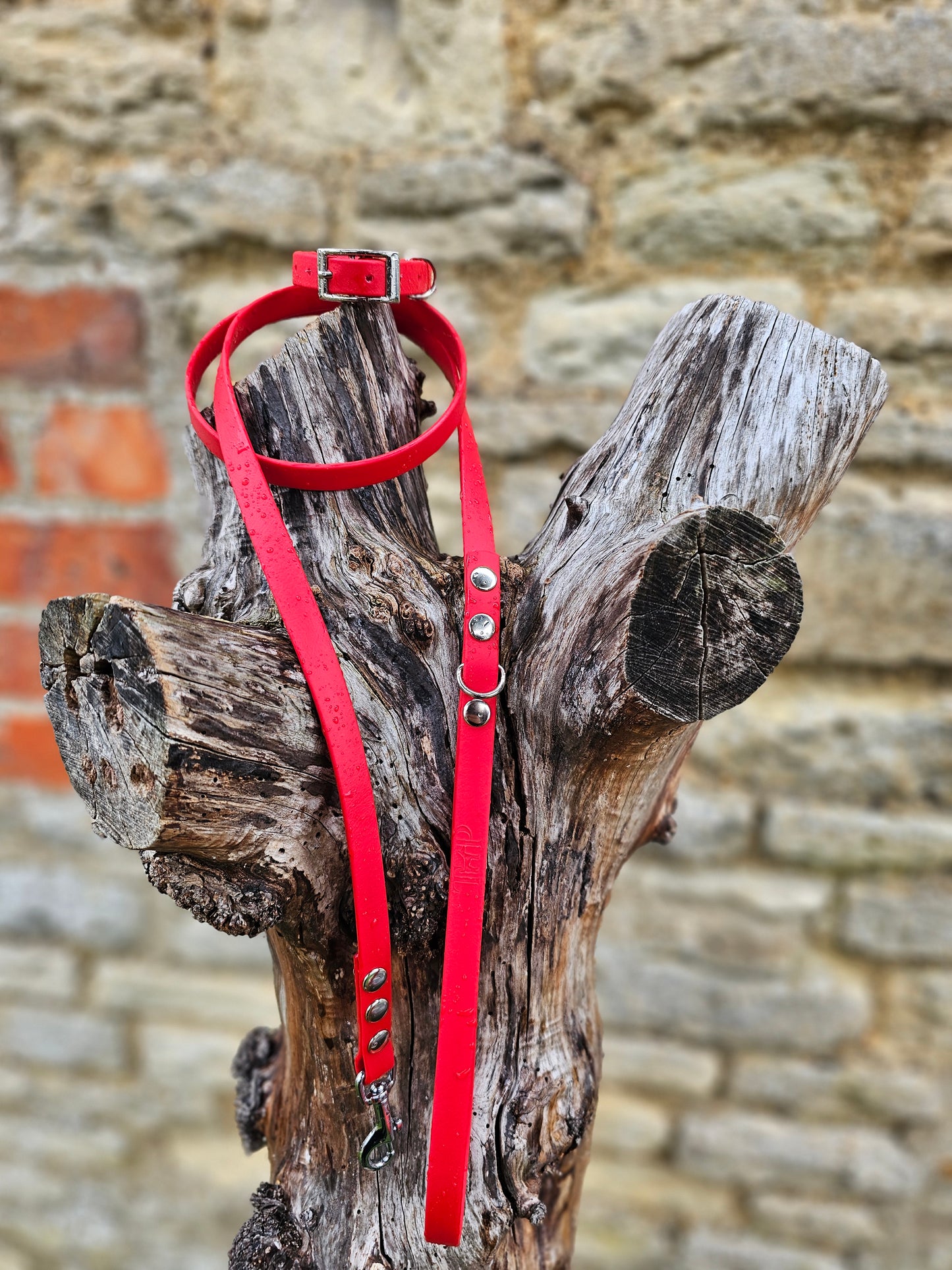 Red - Waterproof BioThane© Dinky Dog Lead
