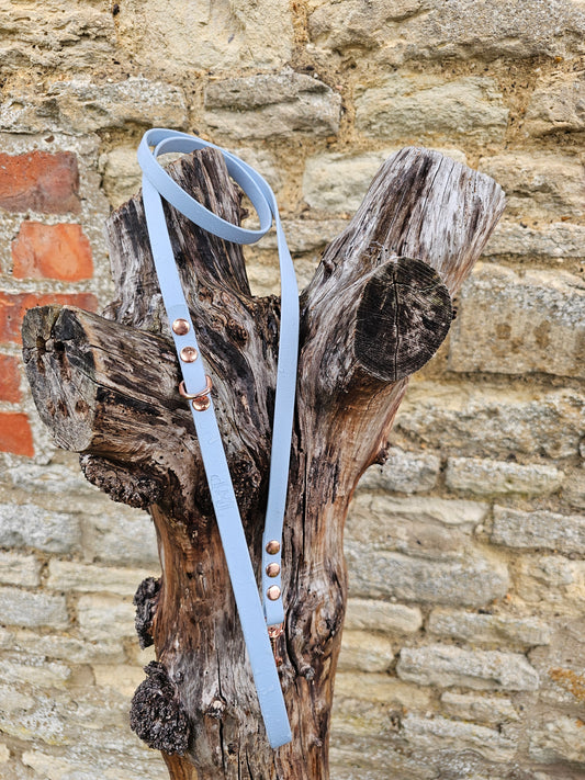 Baby Blue - Waterproof BioThane© Dinky Dog Lead