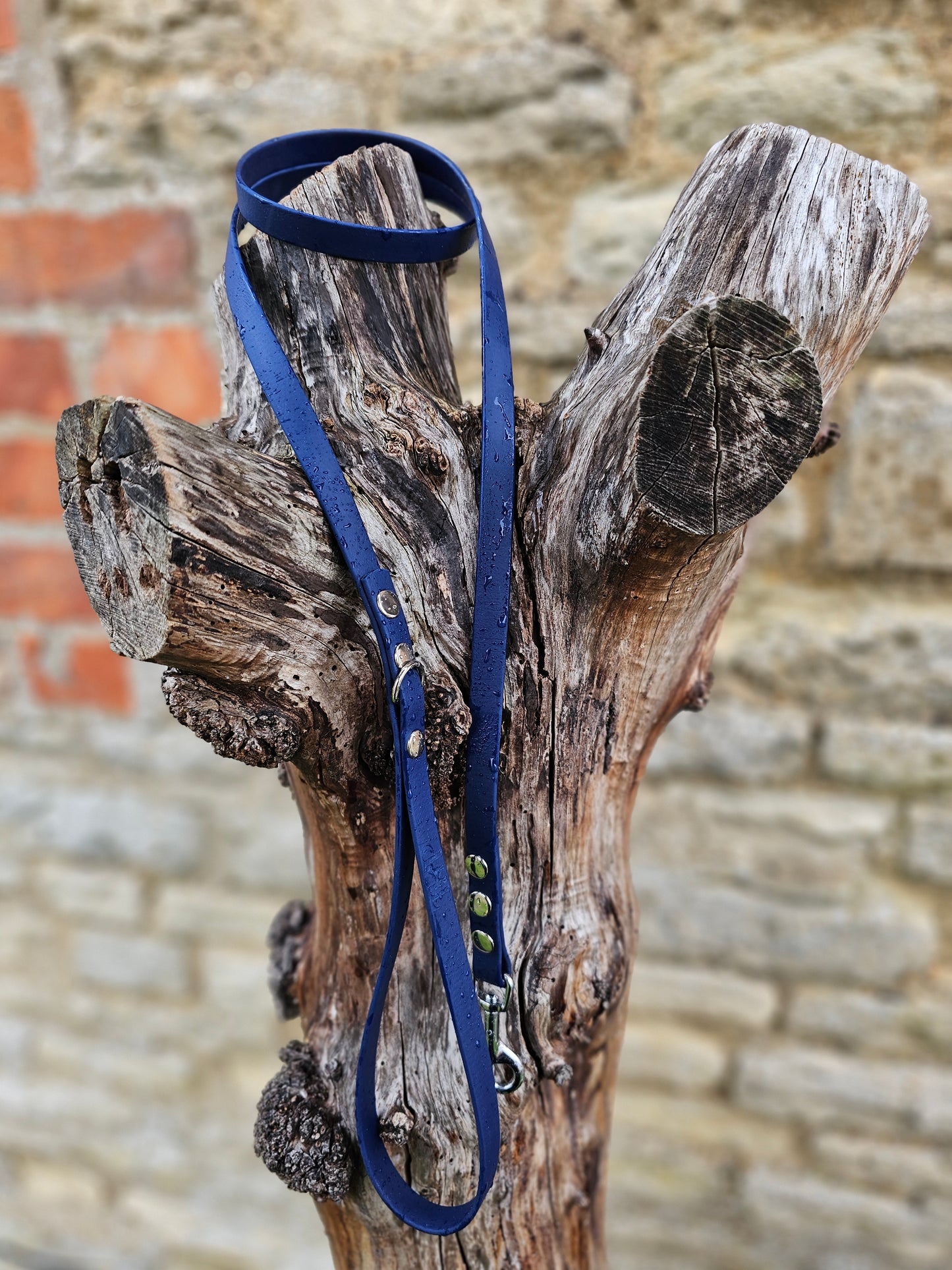 Navy - Waterproof BioThane© Dinky Dog Lead