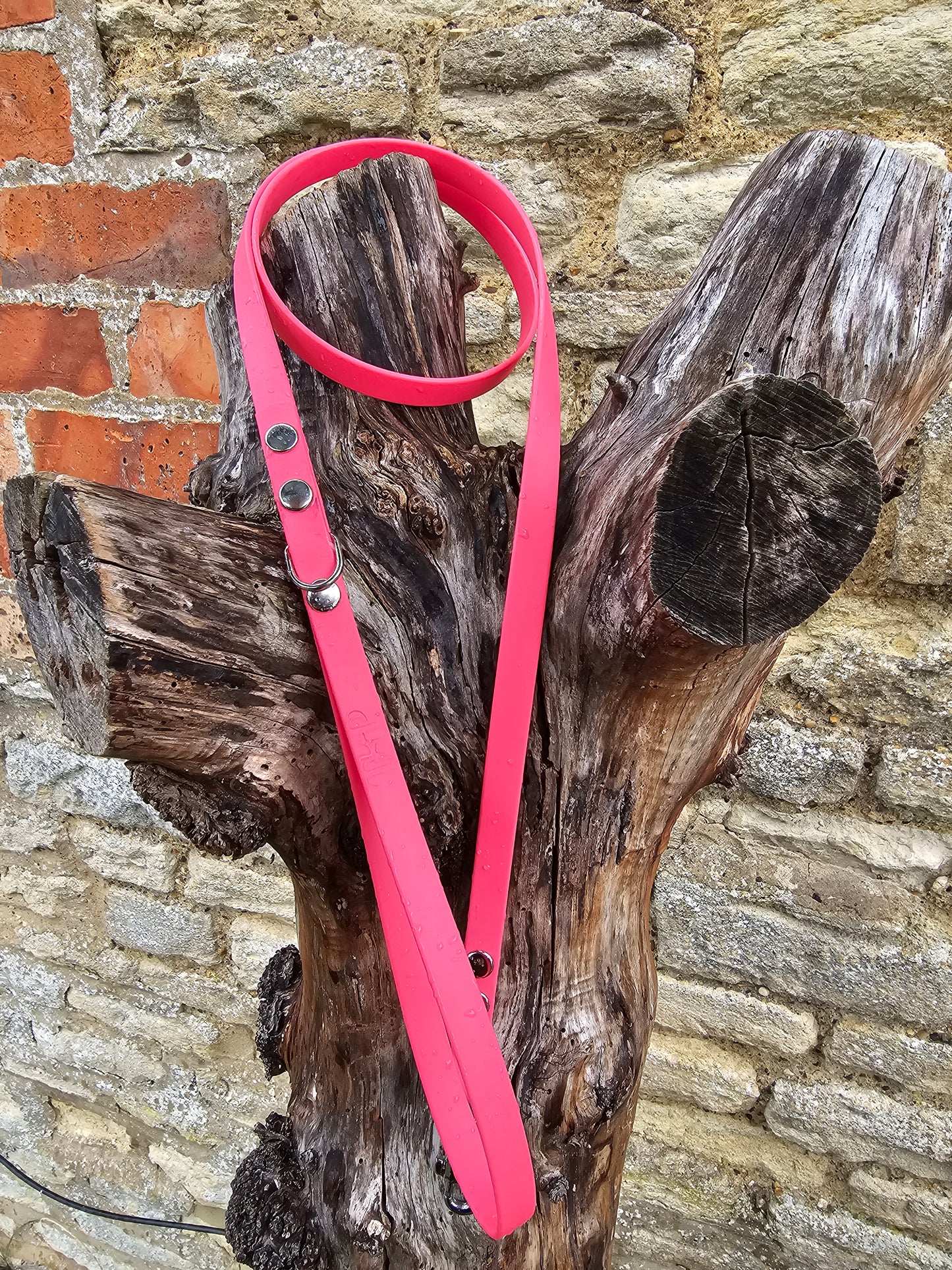 Neon Pink - Waterproof BioThane© Dinky Dog Lead