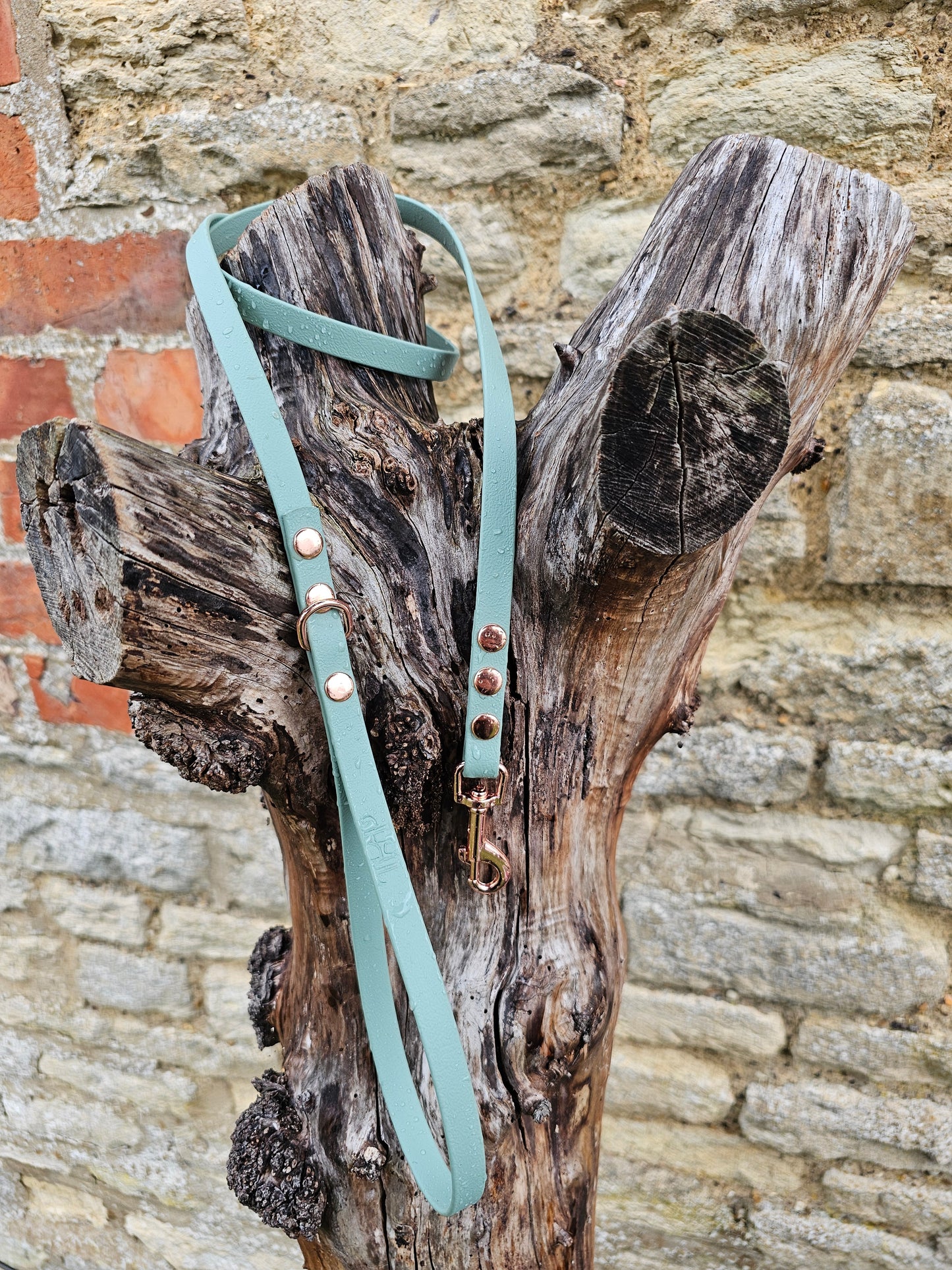 Sage - Waterproof BioThane© Dinky Dog Lead
