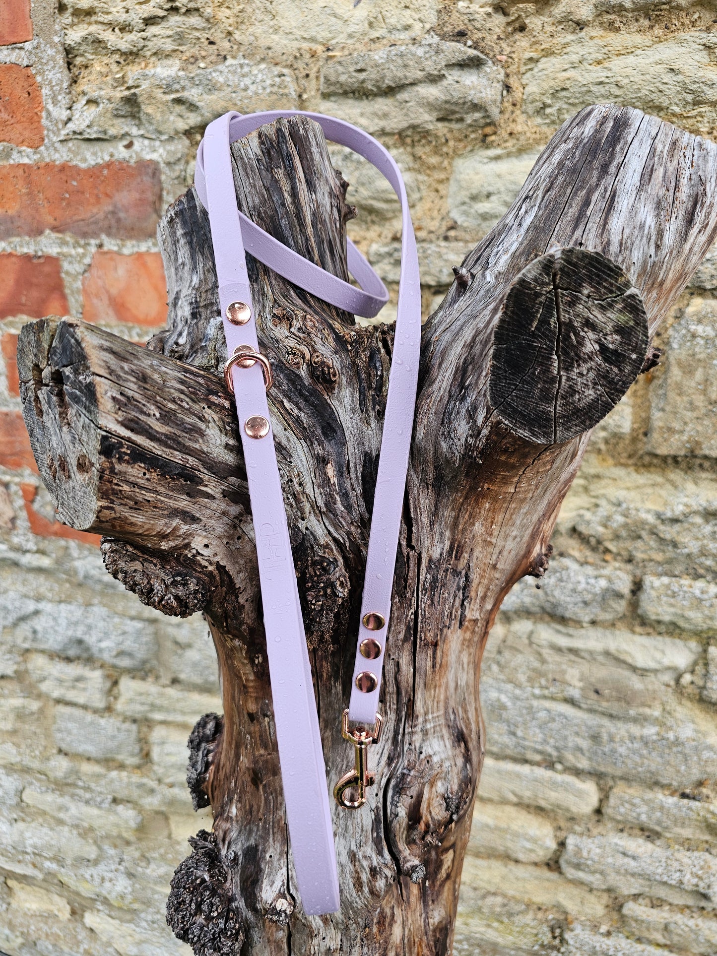 Lilac - Waterproof BioThane© Dinky Dog Lead