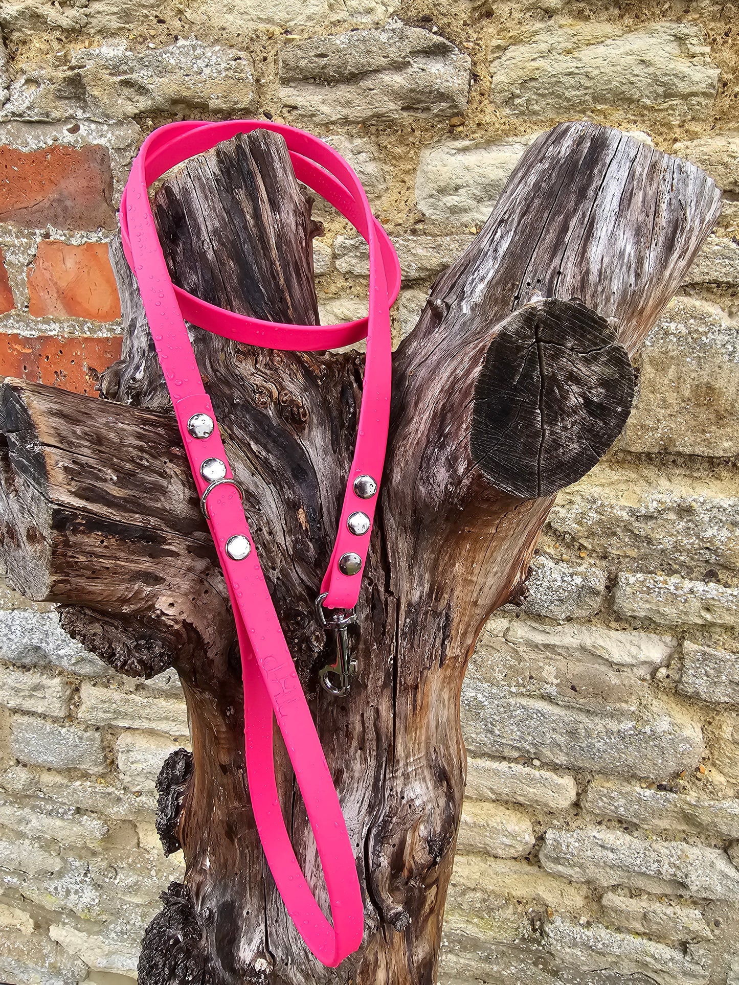 Passion Pink - Waterproof BioThane© Dinky Dog Lead