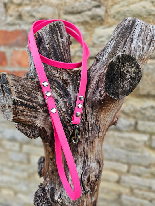 Passion Pink - Waterproof BioThane© Dinky Dog Lead