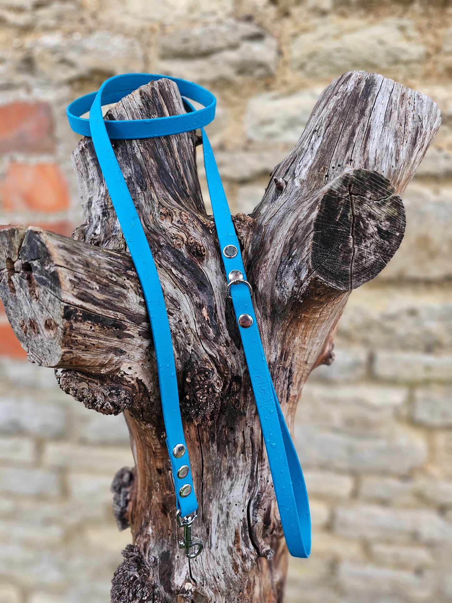 Lagune - Waterproof BioThane© Dinky Dog Lead