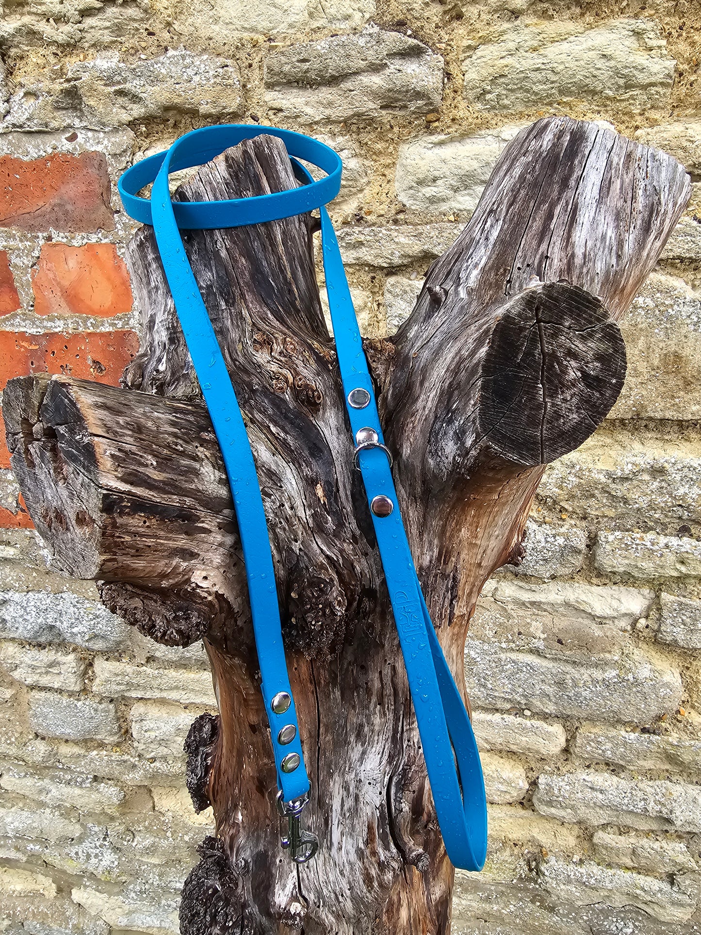 Lagune - Waterproof BioThane© Dinky Dog Lead