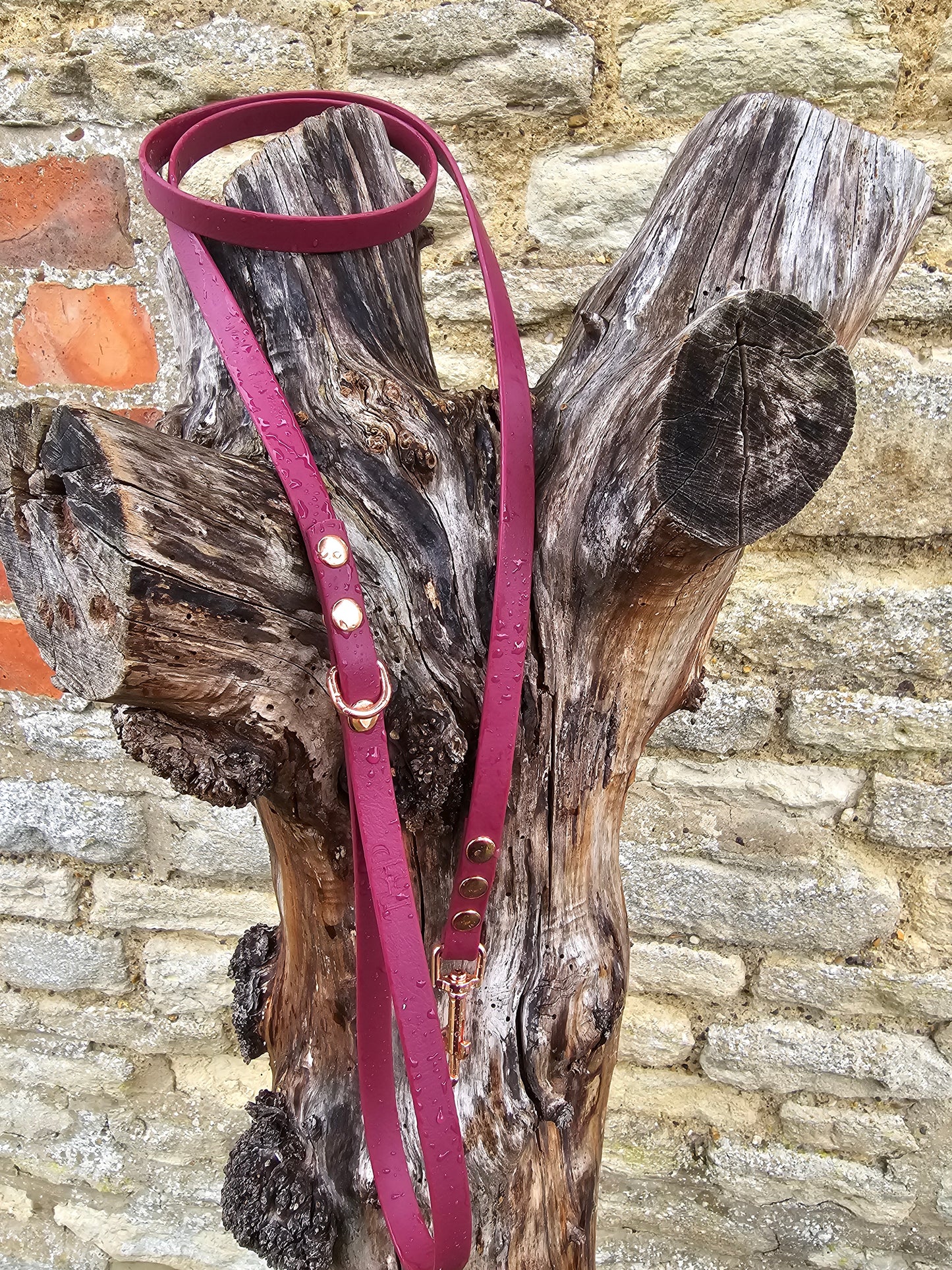 Burgundy - Waterproof BioThane© Dinky Dog Lead