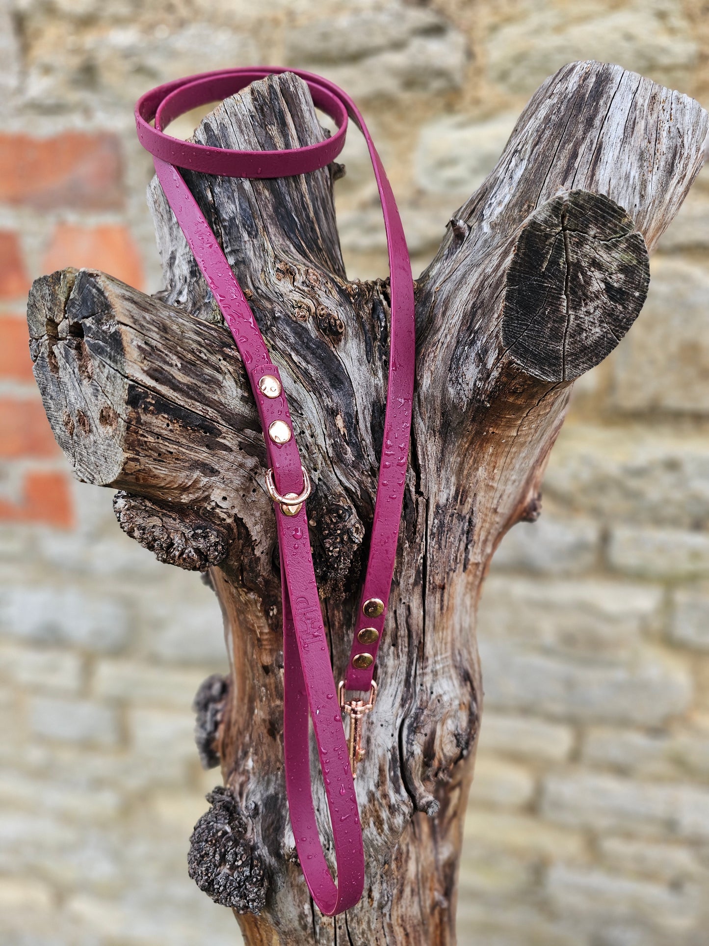 Burgundy - Waterproof BioThane© Dinky Dog Lead