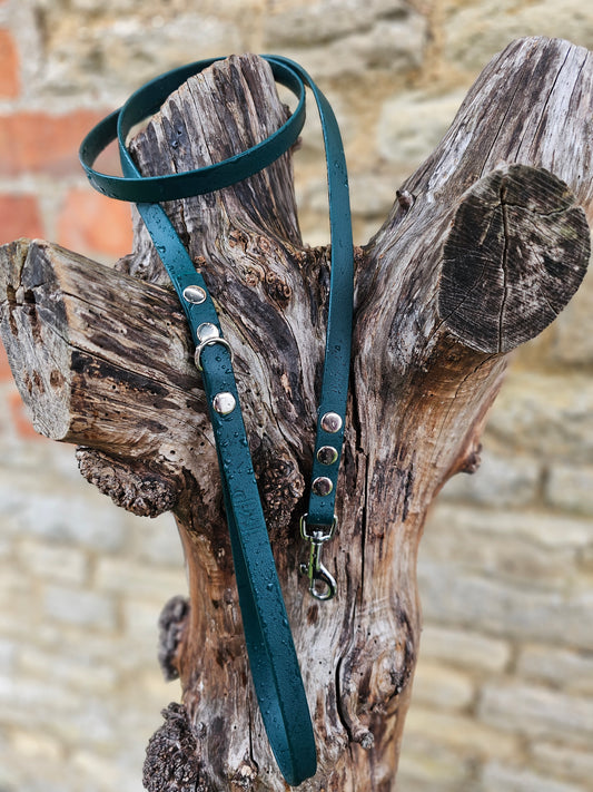 Dark Green - Waterproof BioThane© Dinky Dog Lead