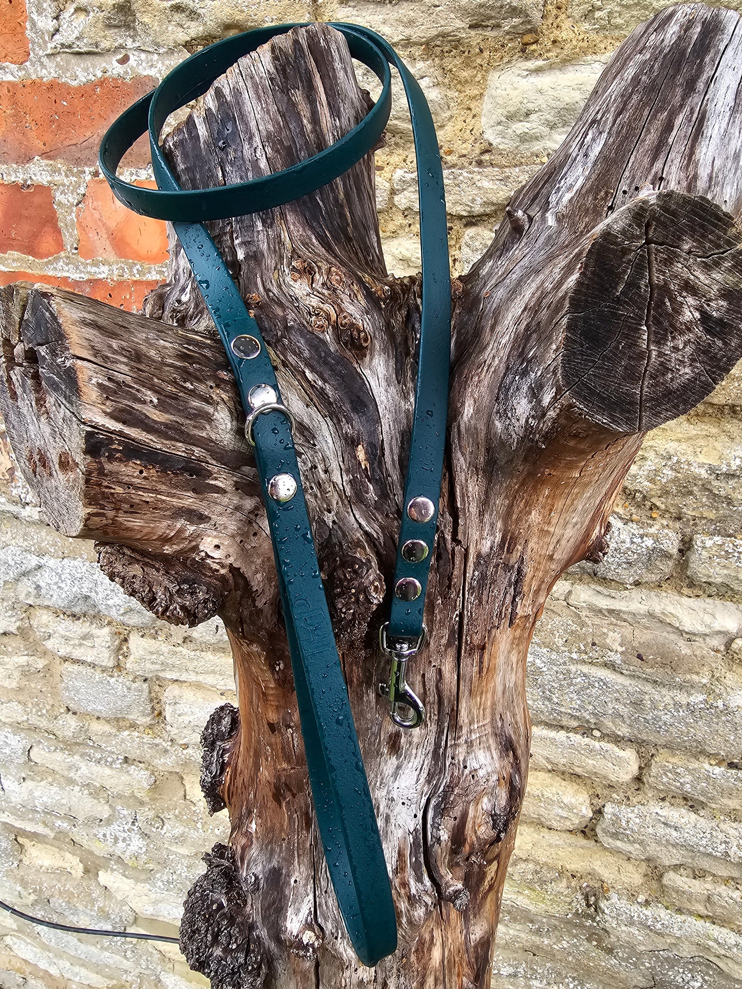 Dark Green - Waterproof BioThane© Dinky Dog Lead