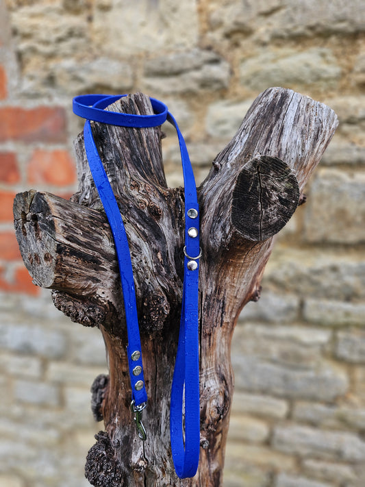 Royal Blue - Waterproof BioThane© Dinky Dog Lead