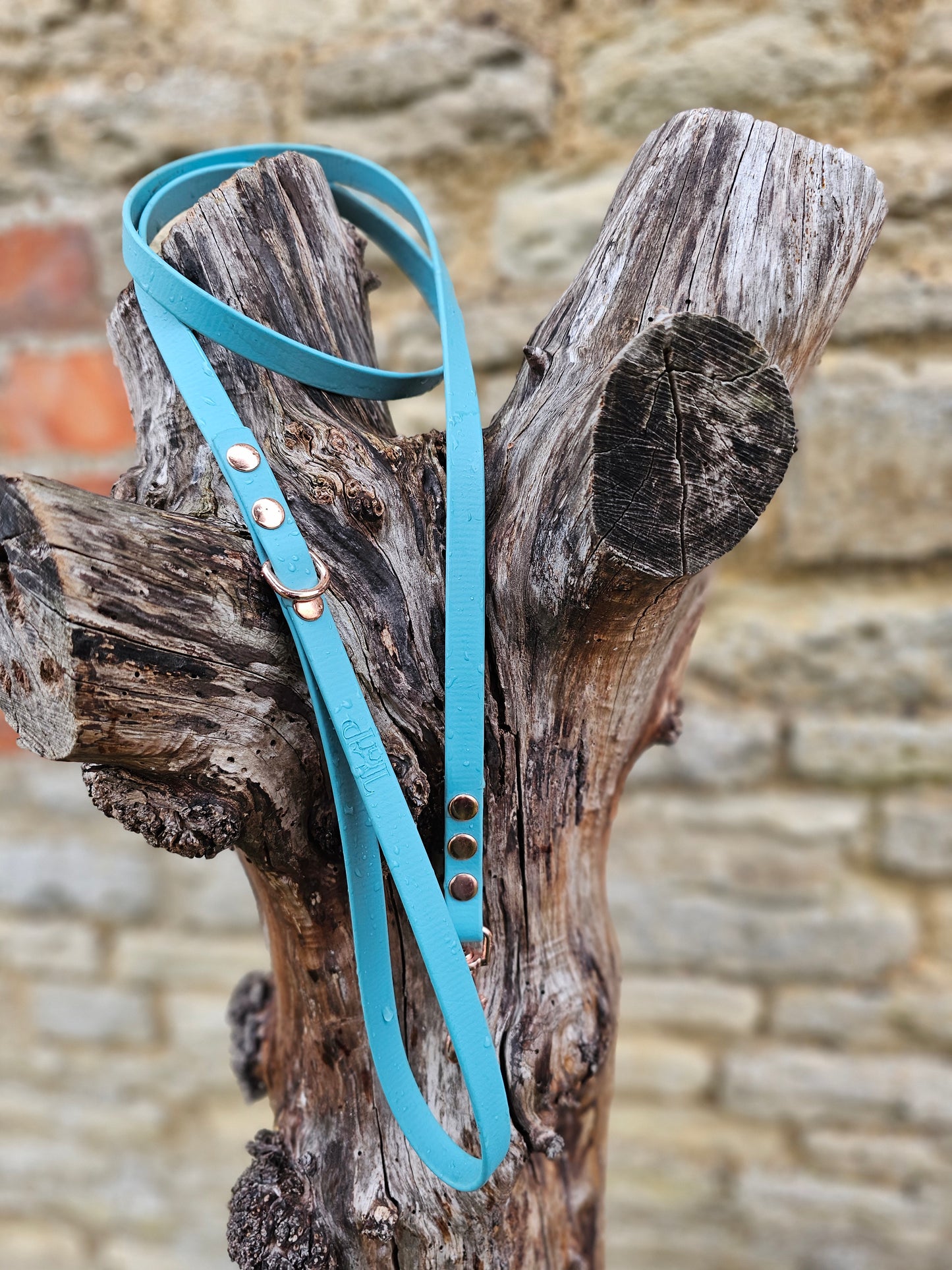 Duckegg - Waterproof BioThane© Dinky Dog Lead