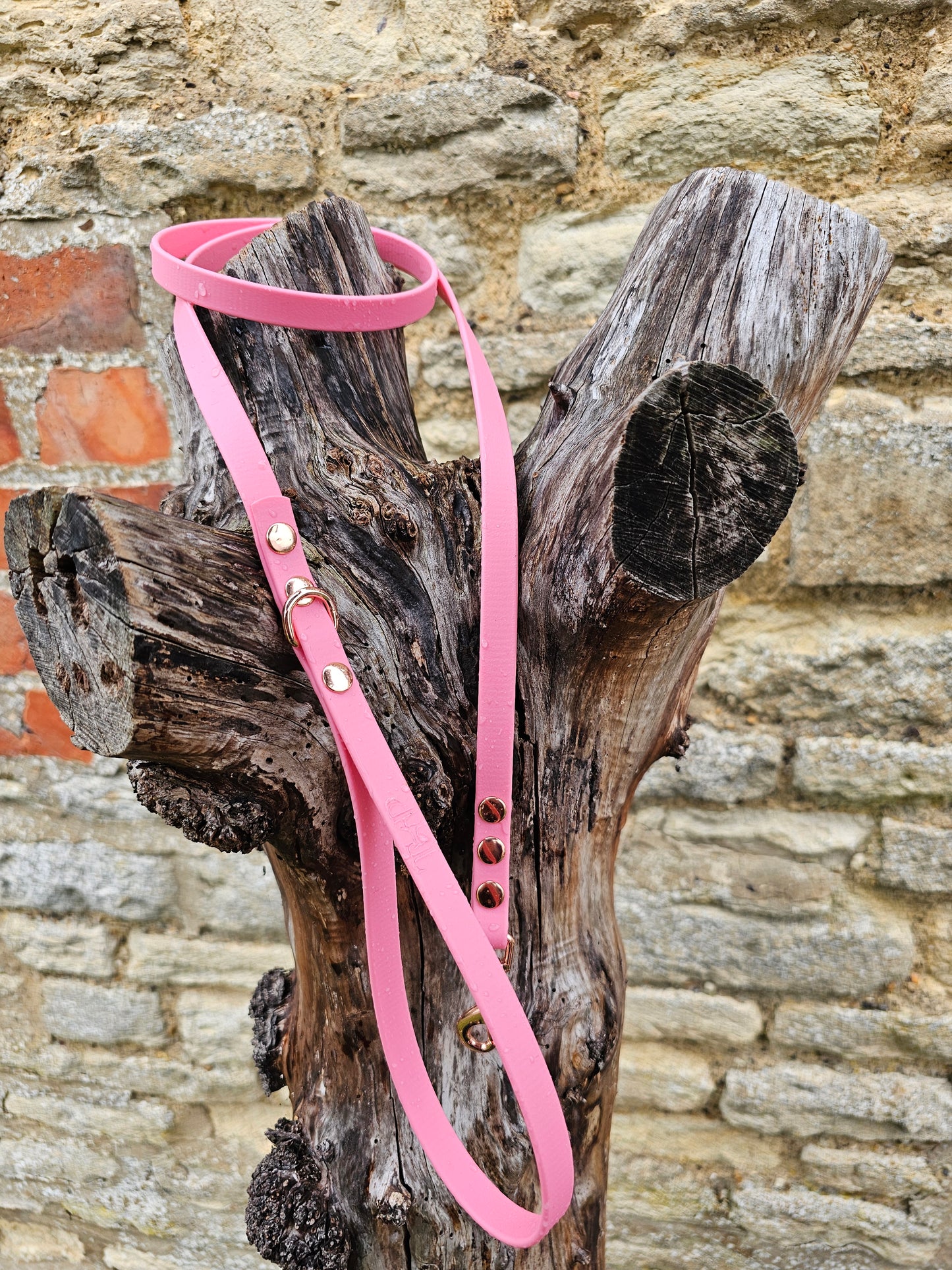 Baby Pink - Waterproof BioThane© Dinky Dog Lead