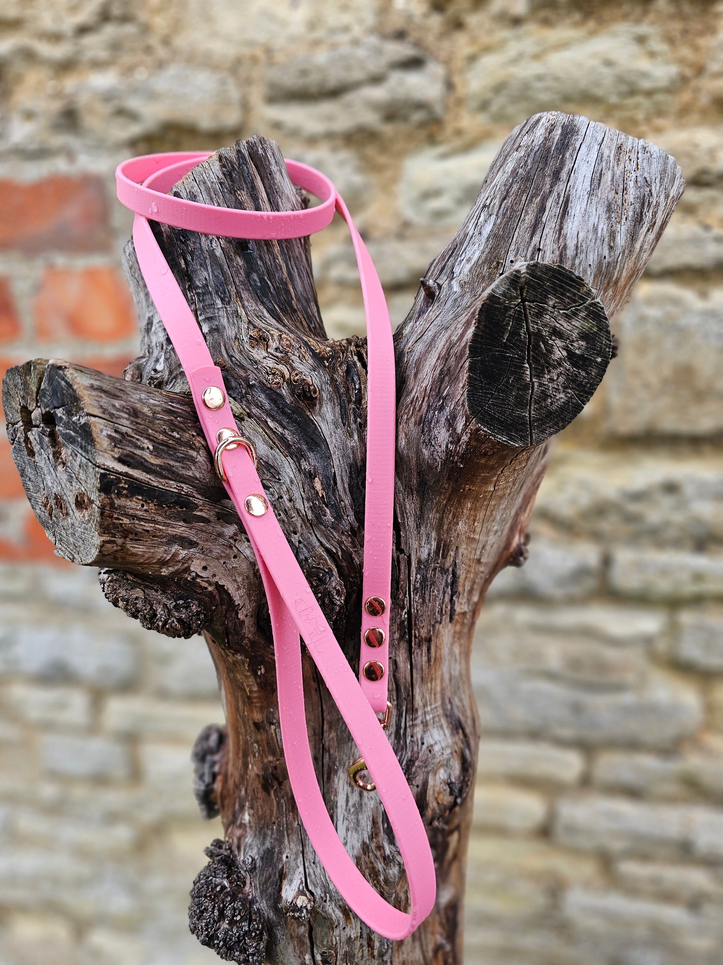 Baby Pink - Waterproof BioThane© Dinky Dog Lead