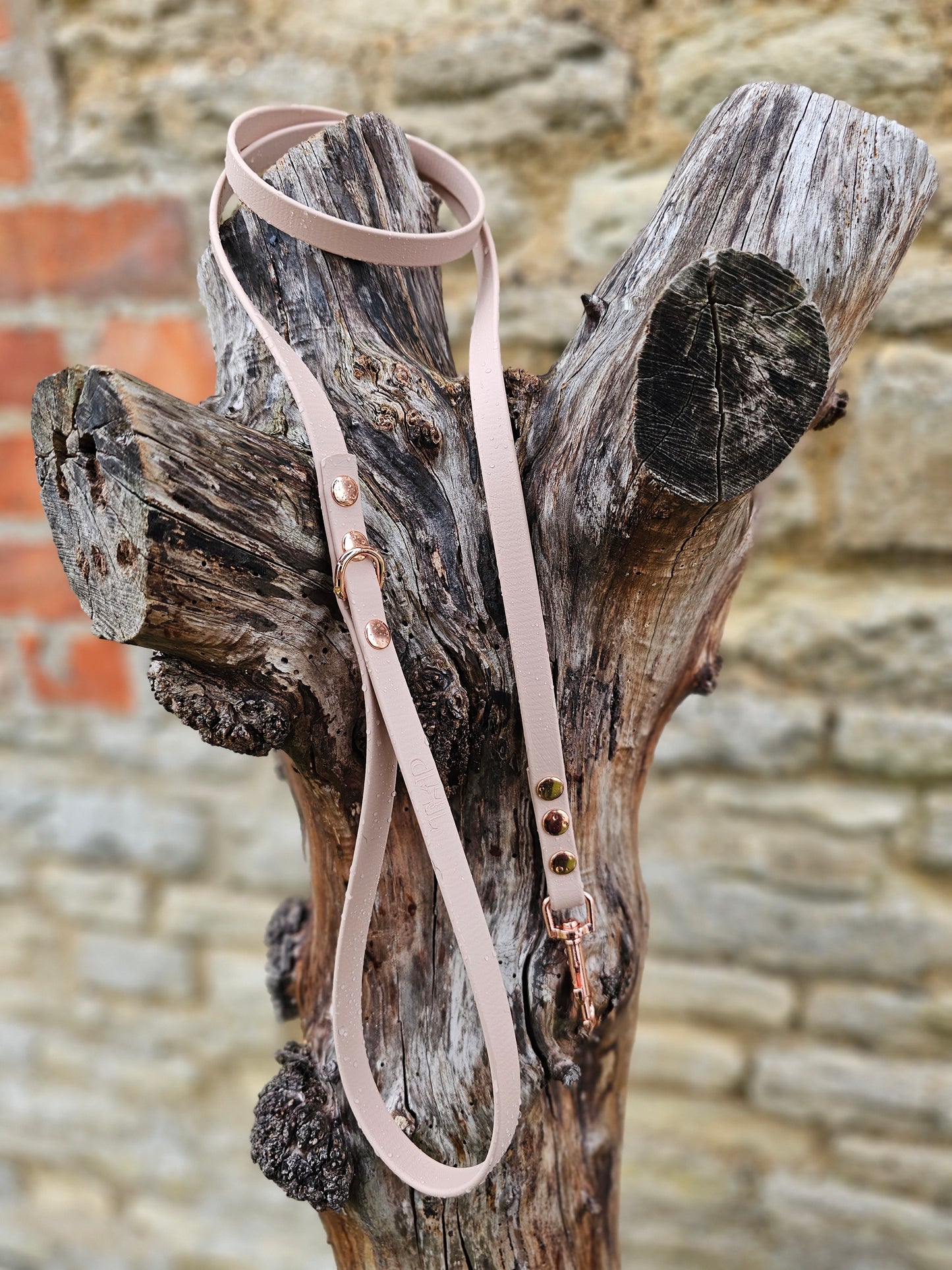 Powder Pearl - Waterproof BioThane© Dinky Dog Lead