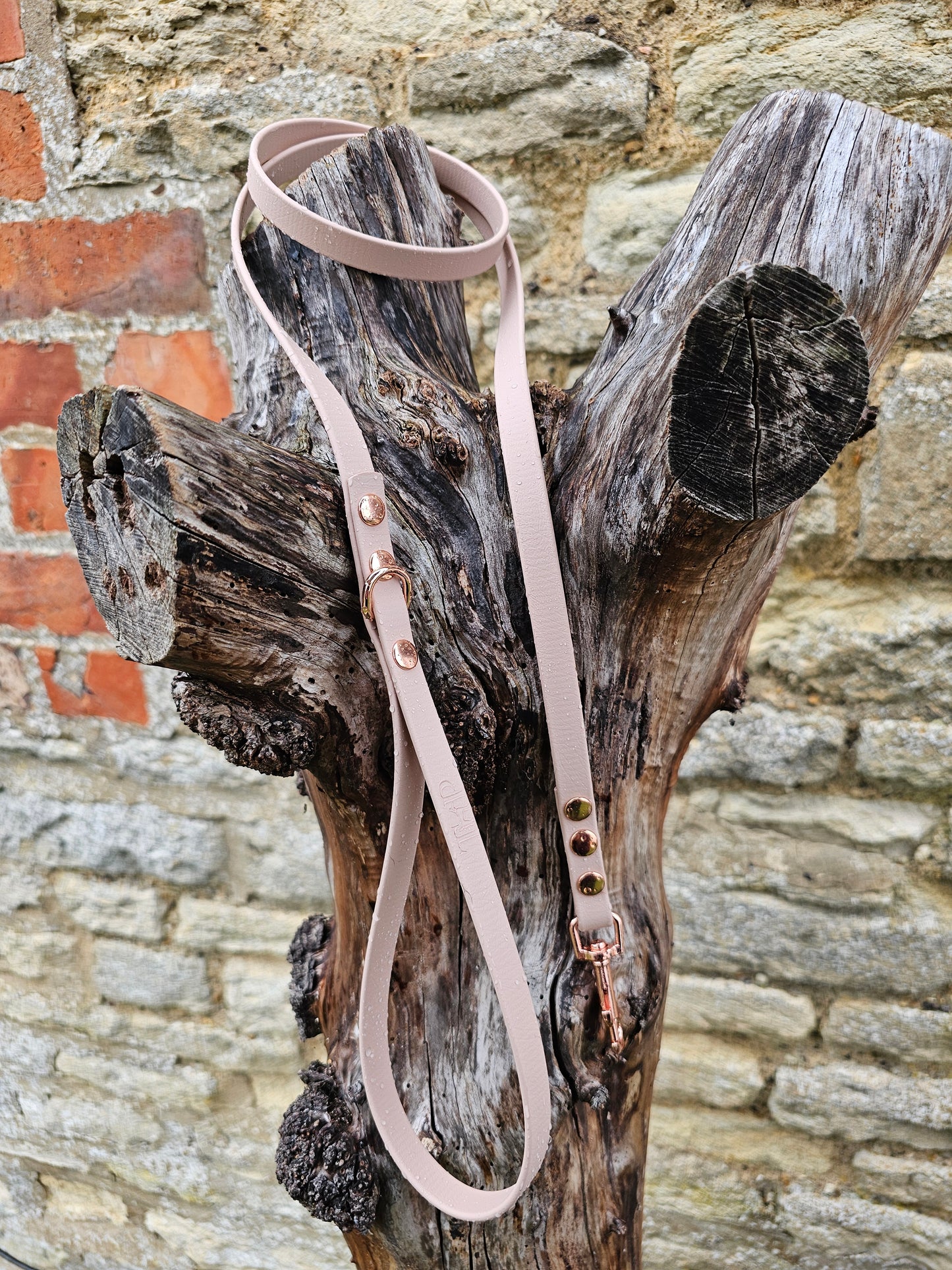 Powder Pearl - Waterproof BioThane© Dinky Dog Lead