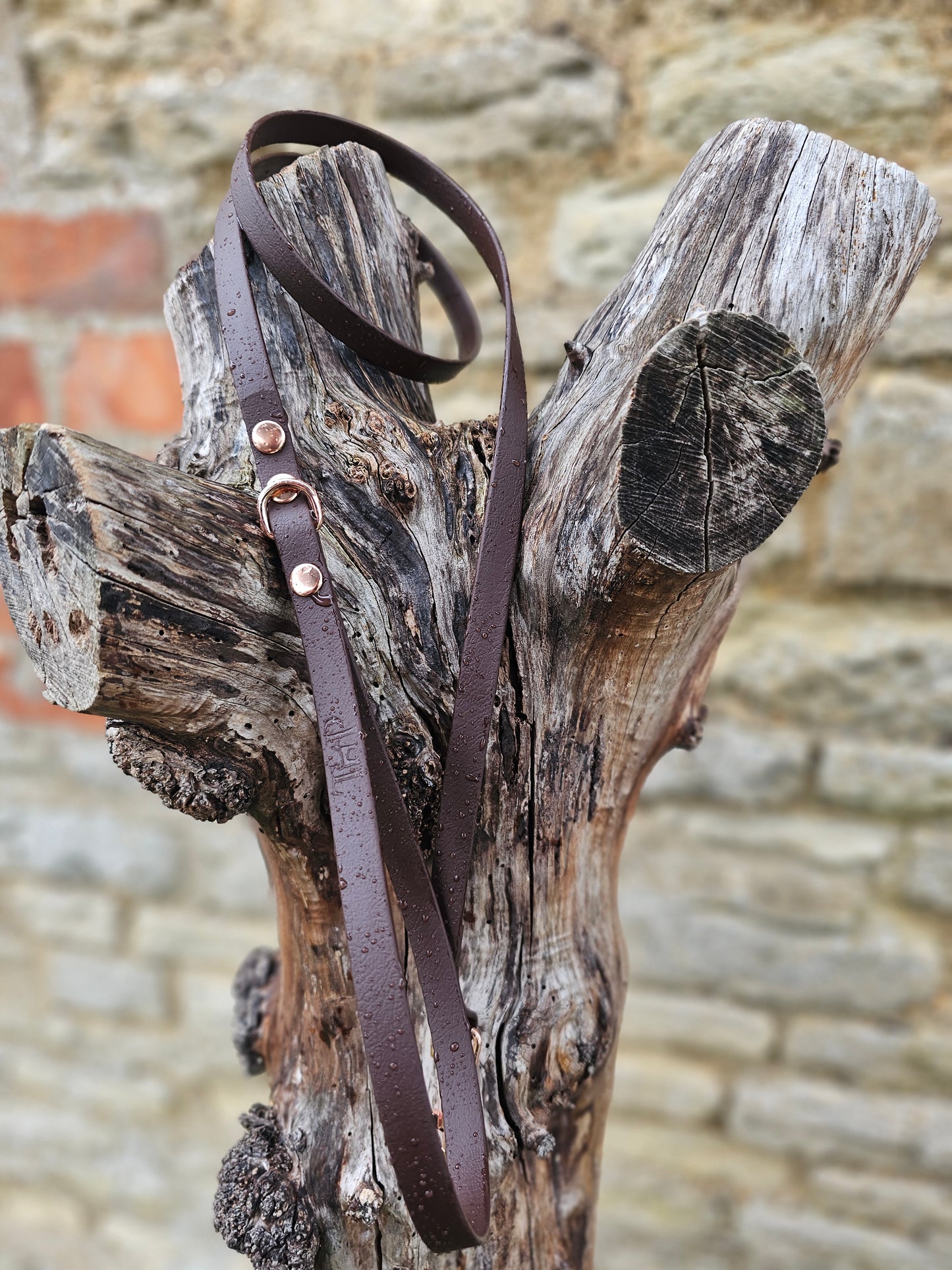 Dark Brown - Waterproof BioThane© Dinky Dog Lead