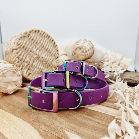 Warm Purple - Waterproof Webbing Dog Collar
