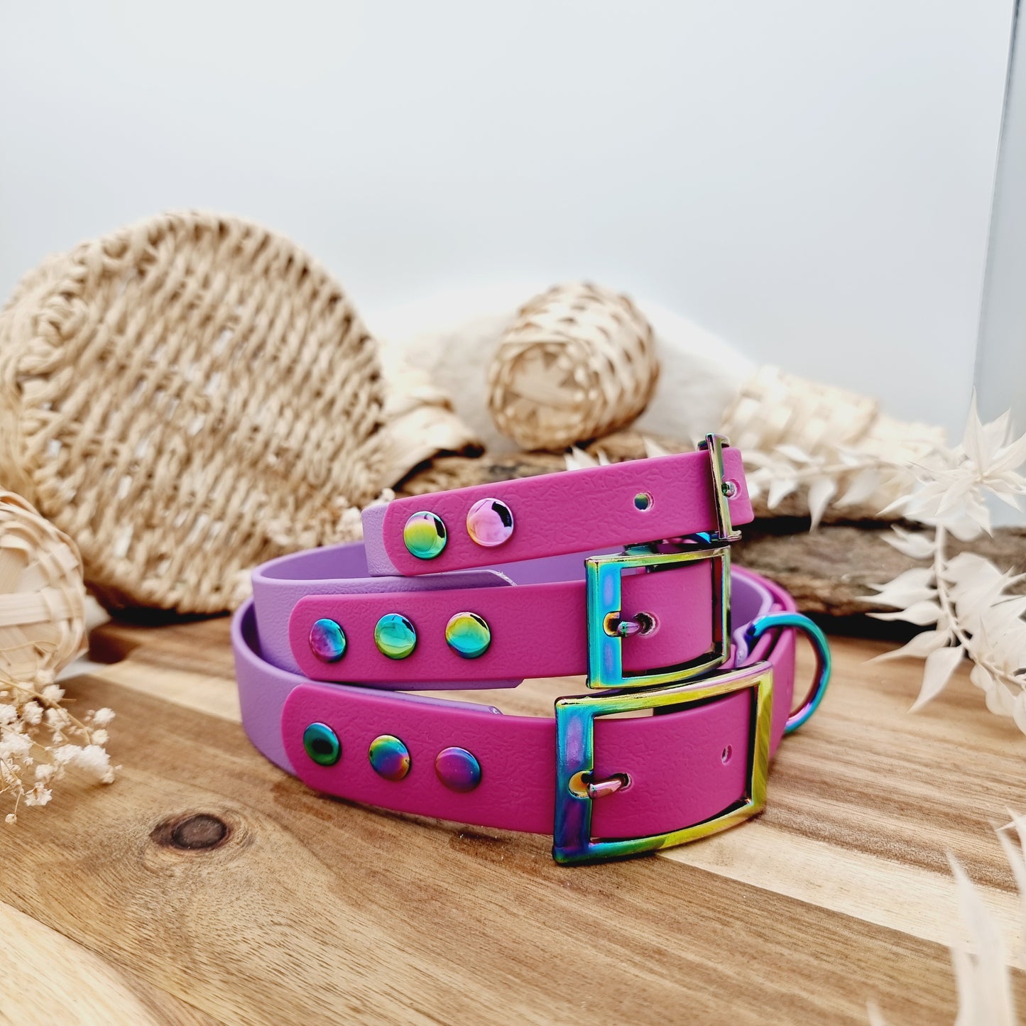 Amethyst & Pink Berry - two-coloured Biothane Dog Collar