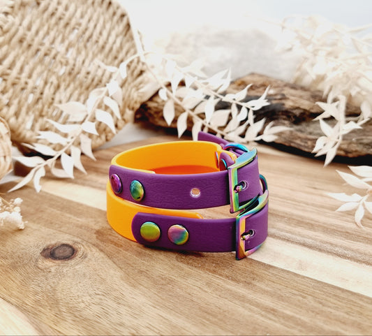 Colorful dog collar with purple accents on a wooden surface
