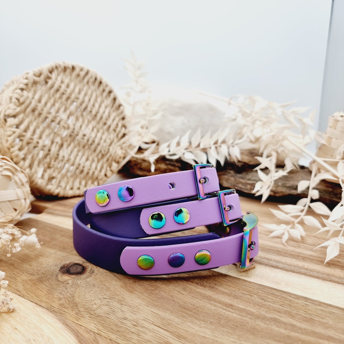 Purple & Amethyst - two-coloured Biothane Dog Collar