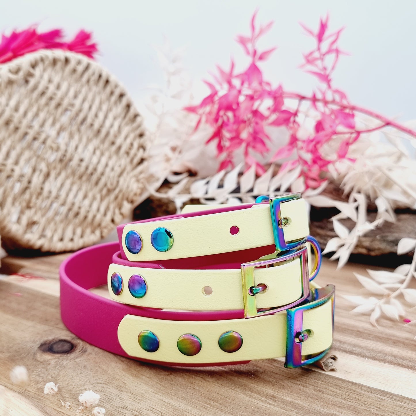 Magenta & Lemon - two-coloured Biothane Dog Collar