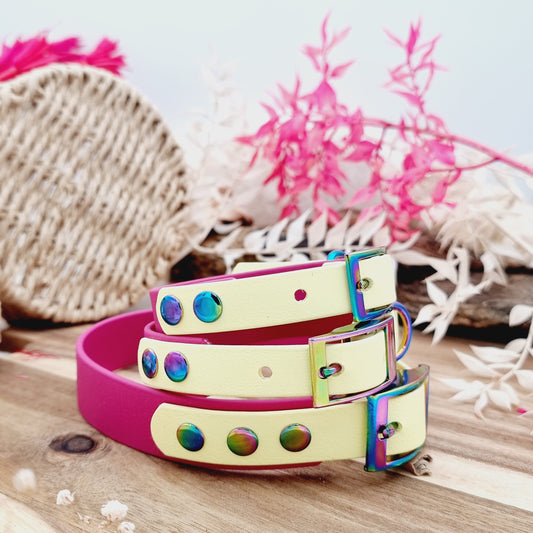 Magenta & Lemon - two-coloured Biothane Dog Collar