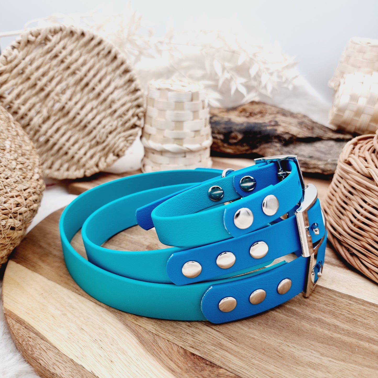 Teal & Lagune - two-coloured Biothane Dog Collar