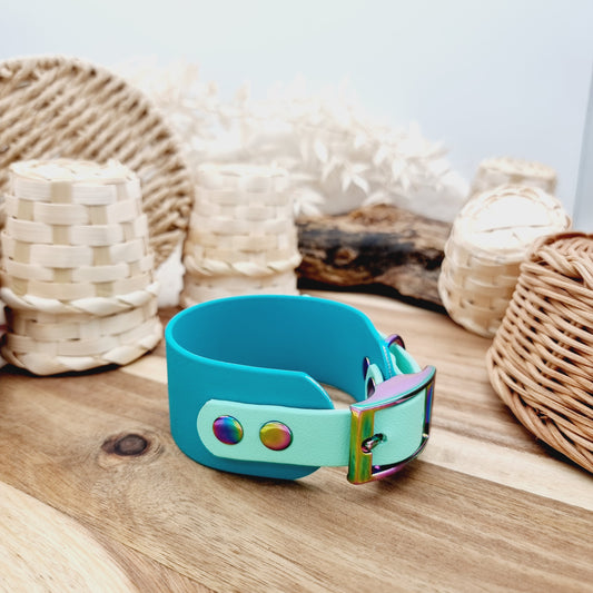 Teal & Mint - two-coloured Biothane Sighthound Collar