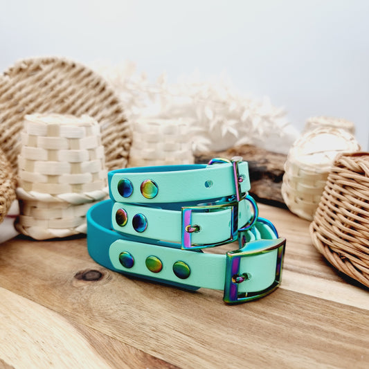 Teal & Mint - two-coloured Biothane Dog Collar