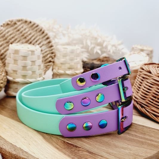 Mint & Amethyst - two-coloured Biothane Dog Collar