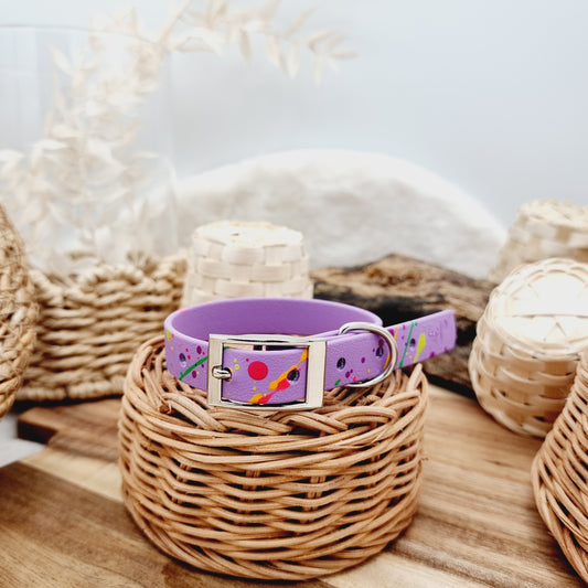 Amethyst & Neon Splashes - Biothane Dog Collar