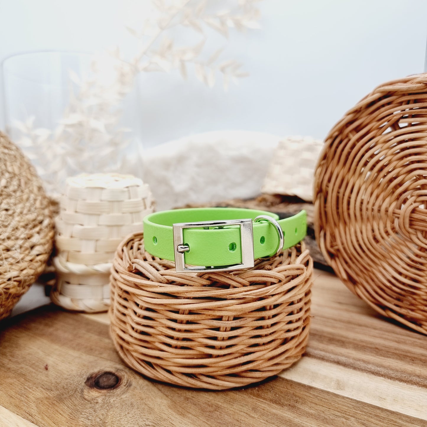 Pistachio - Size XS - Biothane Dog Collar