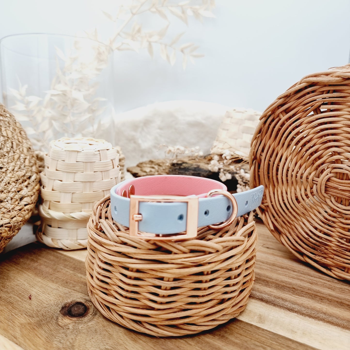 Baby Pink & Baby Blue (RG) Size XS - two-coloured Biothane Dog Collar