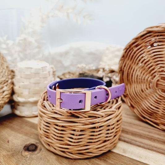 Purple & Amethyst (RG) Size XS - two-coloured Biothane Dog Collar