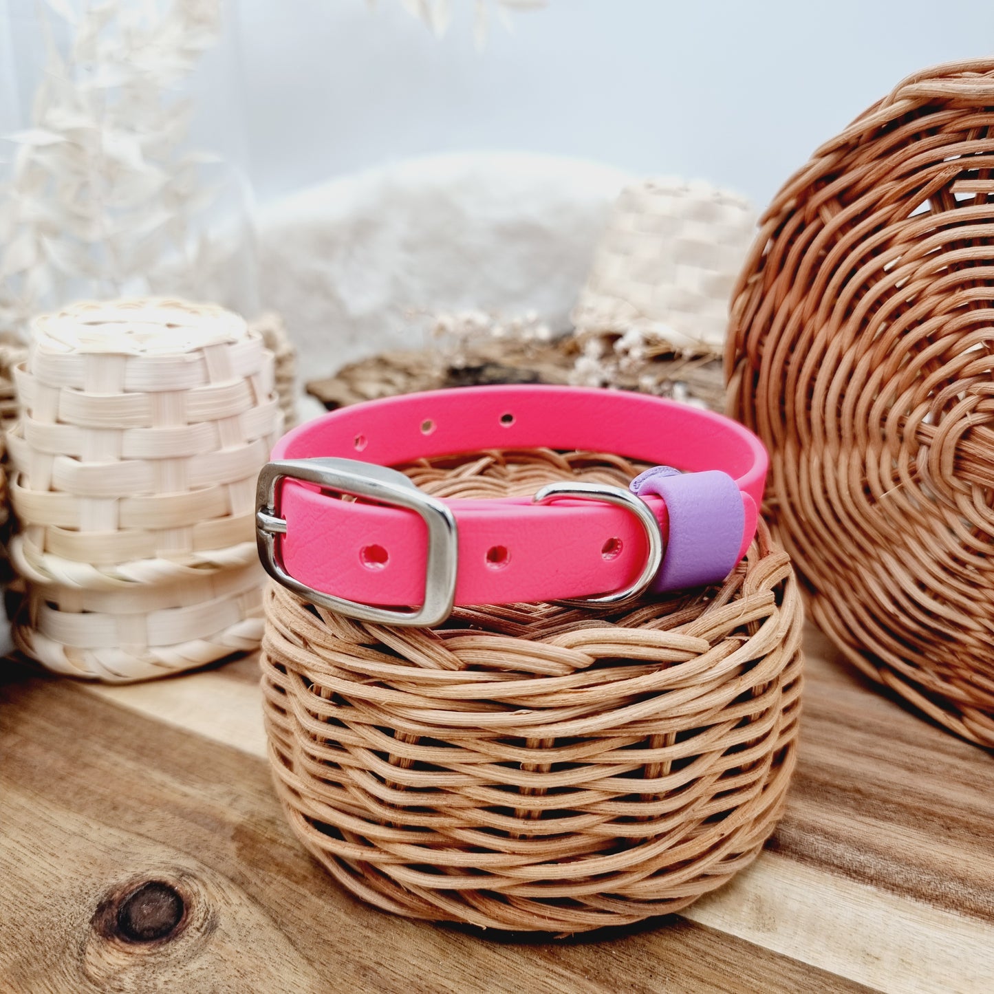 Neon Pink (SS) - Puppy Biothane Dog Collar (7-14" neck size)