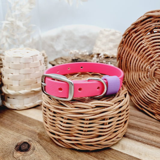 Neon Pink (SS) - Puppy Biothane Dog Collar (7-14" neck size)