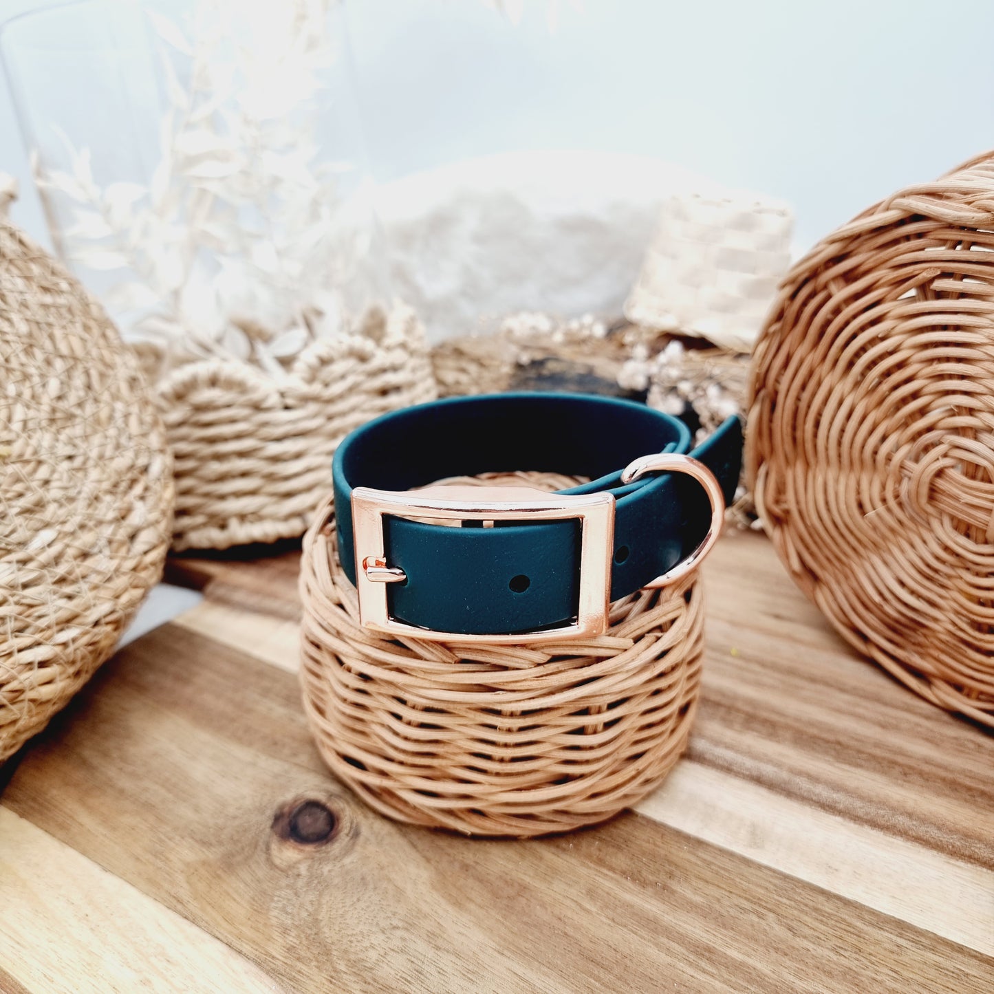 Dark Green (RG) - Size S (25mm wide) Biothane Dog Collar