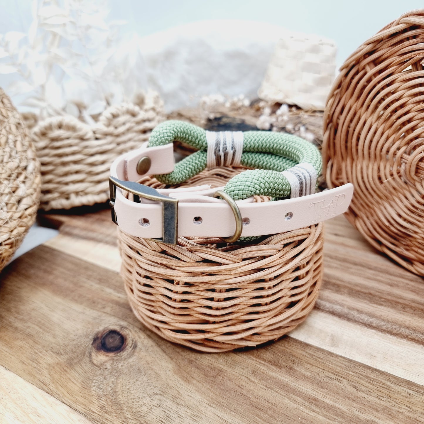 Avocado & Powder Pearl (Size Small) - Rope Biothane Dog Collar