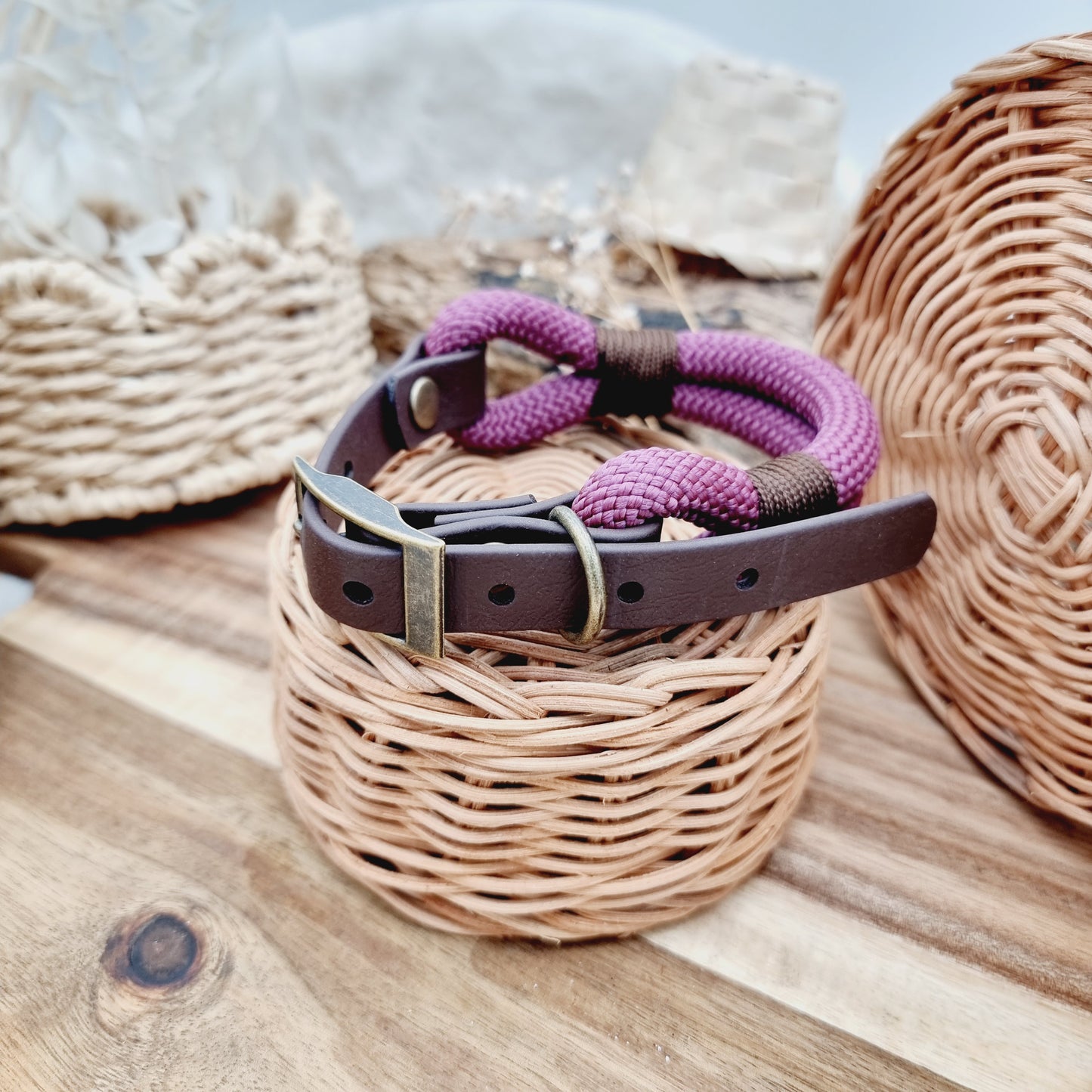 Aubergine & Dark Brown (Size Small) - Rope Biothane Dog Collar