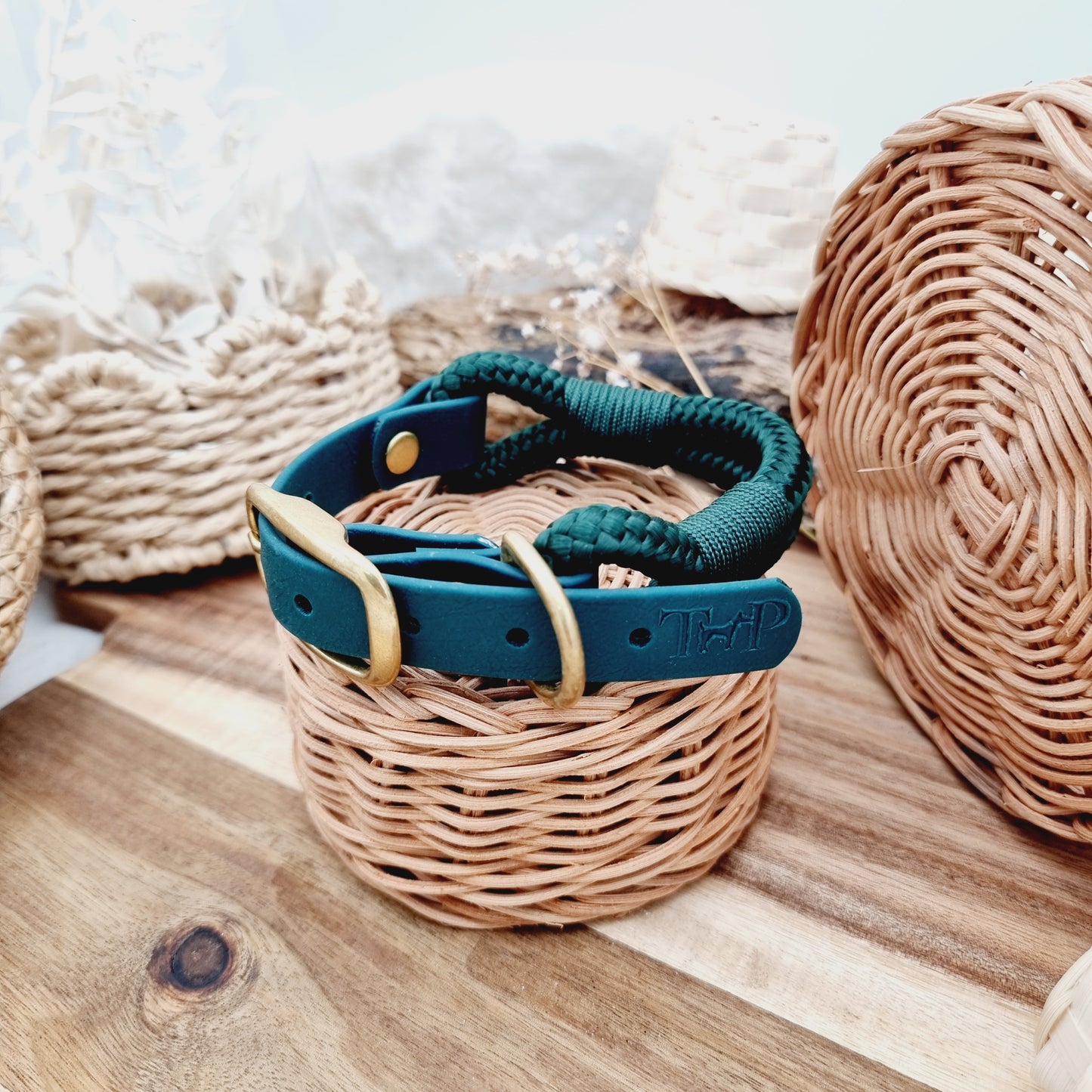 Dark Green (Size Small) - Rope Biothane Dog Collar