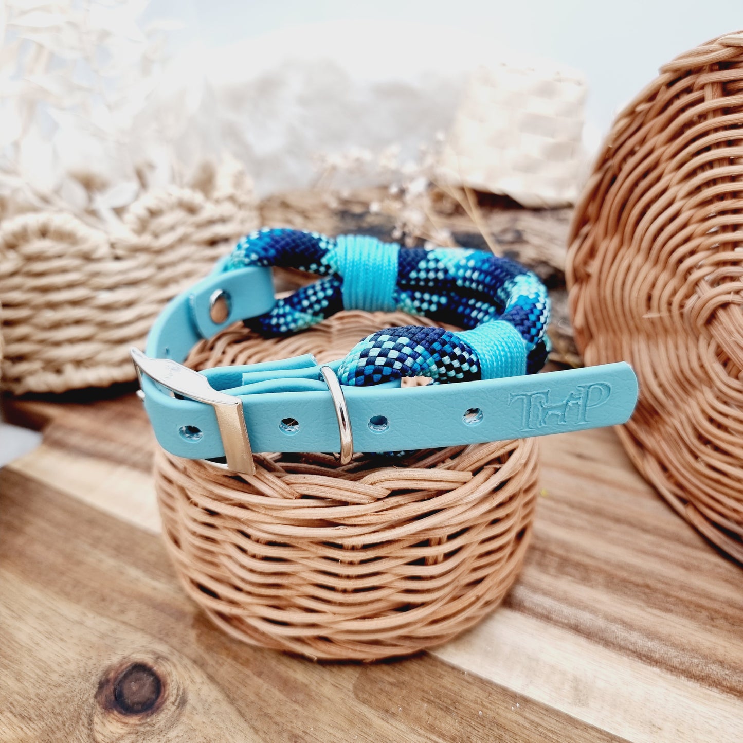 Neptune & Duckegg (Size Small) - Rope Biothane Dog Collar