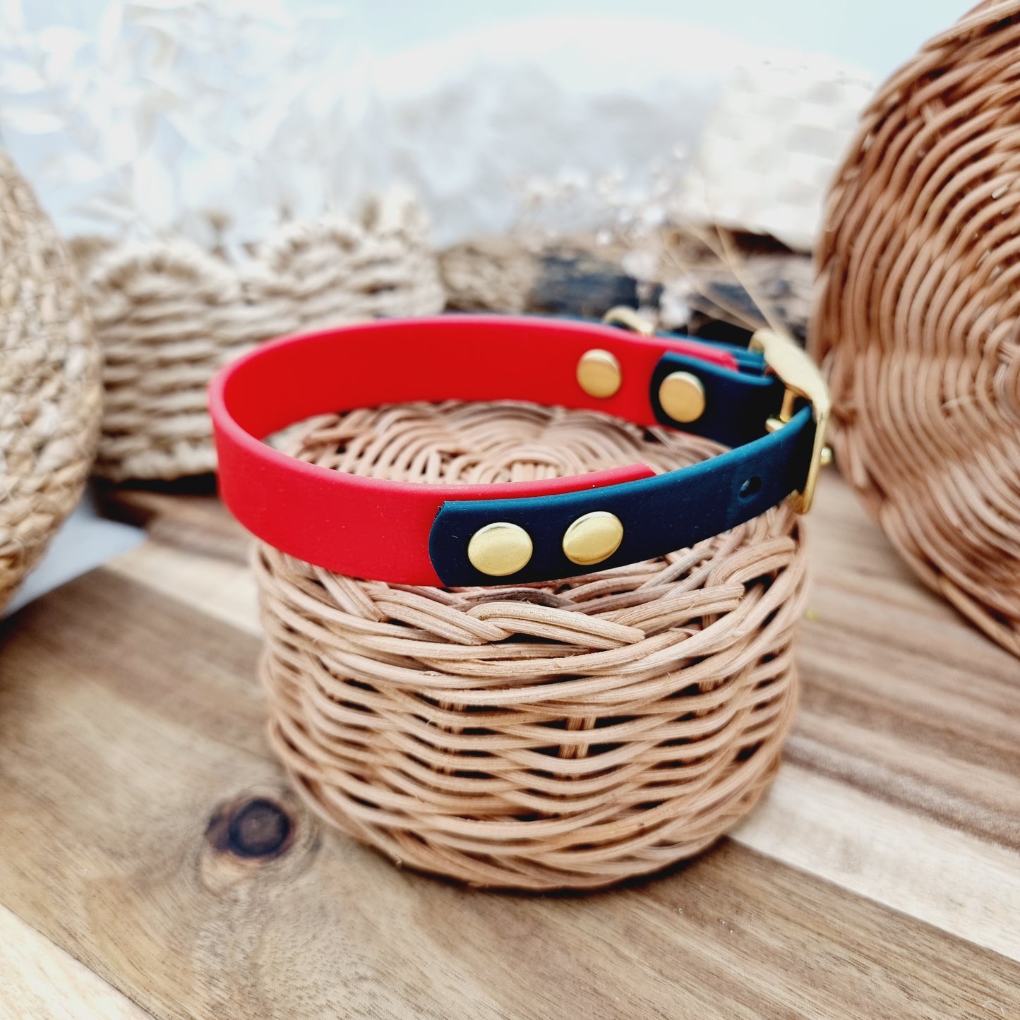 Red & Dark Green (GB) Size Small - two-coloured Biothane Dog Collar