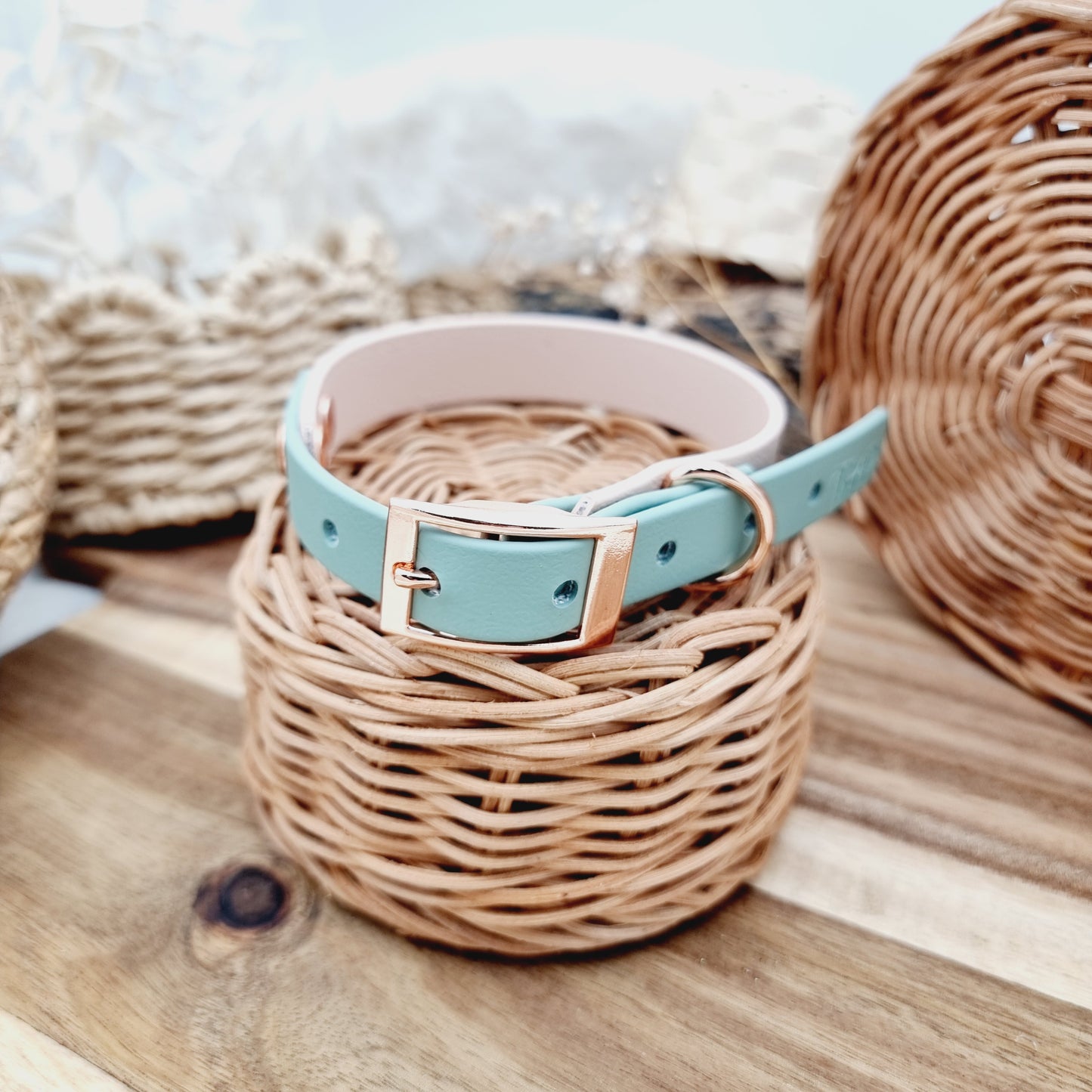 PowderPearl&Sage (RG) Size Small - two-coloured Biothane Dog Collar