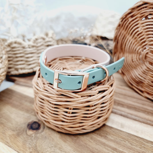 PowderPearl&Sage (RG) Size Small - two-coloured Biothane Dog Collar