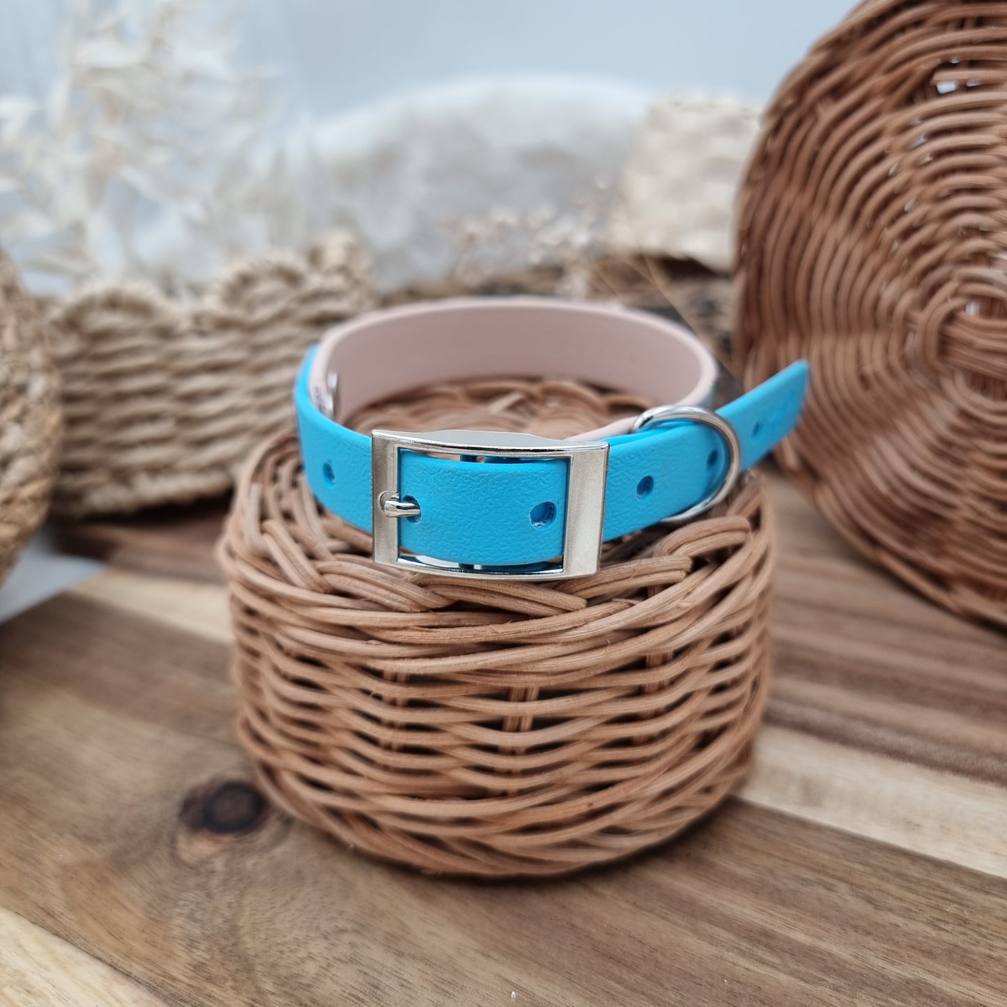 Nude Splash & Neon Blue - two-coloured Biothane Dog Collar