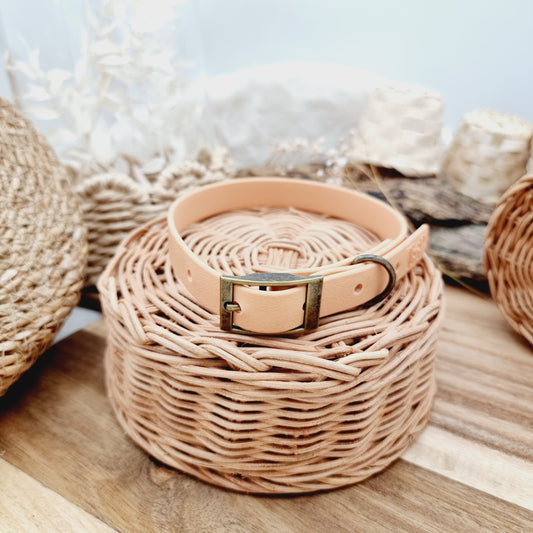 Beige (AB) - Size M Waterproof Dog Collar