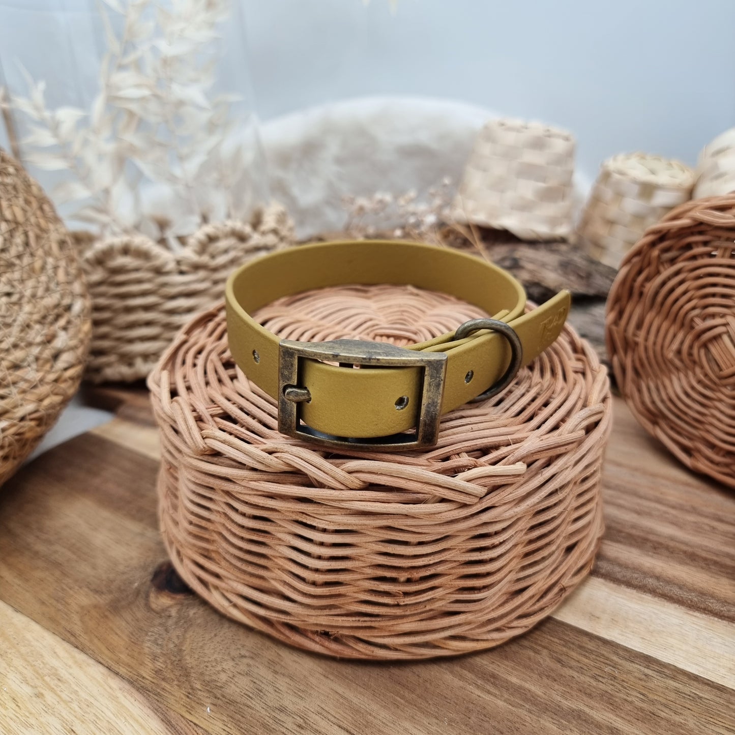 Gold (AB) - Size M Biothane Dog Collar